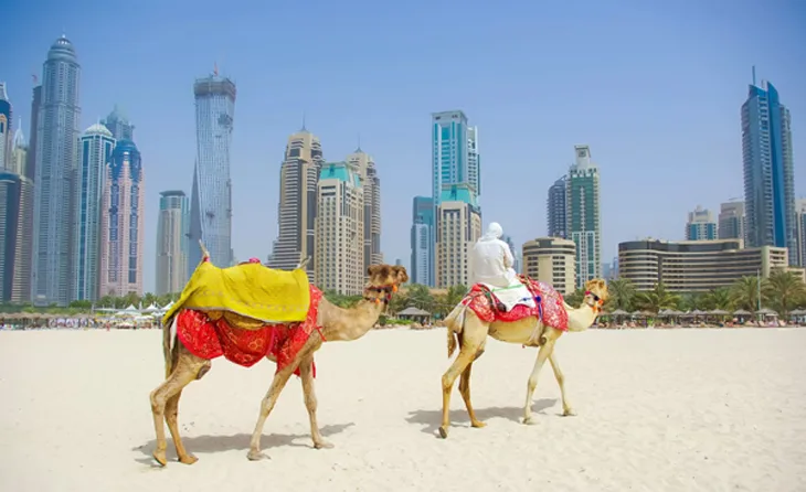 dubai city tour - 28圈