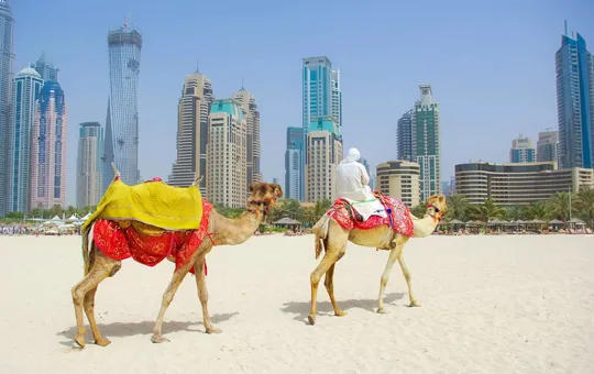 精彩内容等你发掘 - 28圈